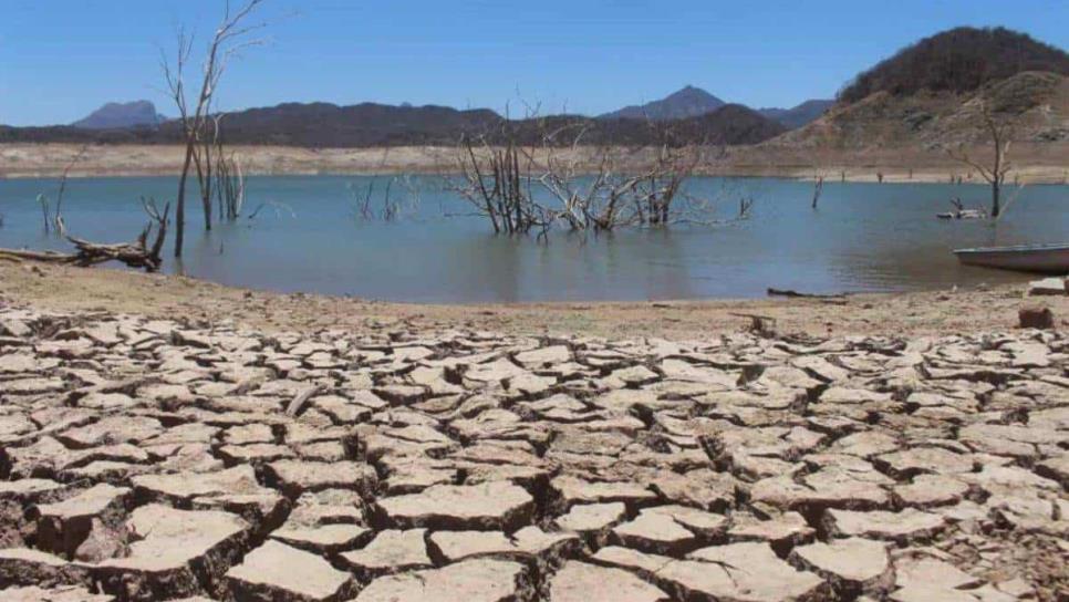 Sequía asfixia a Sinaloa; el 100 % del territorio resulta con afectaciones