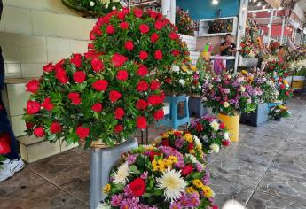 Pronostican malas ventas de flores en Día de las Madres en Ahome 