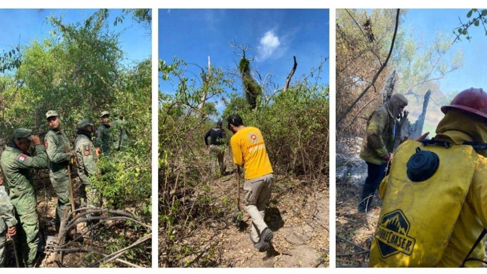 Controlan incendio forestal en San José de Cahuinahua, El Fuerte 