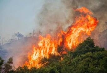 Incendios forestales en Sinaloa: cuántos van y cuáles siguen activos