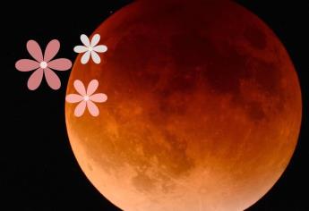 Luna de Flores: Fecha y hora exacta para ver este fenómeno astronómico en mayo 2024