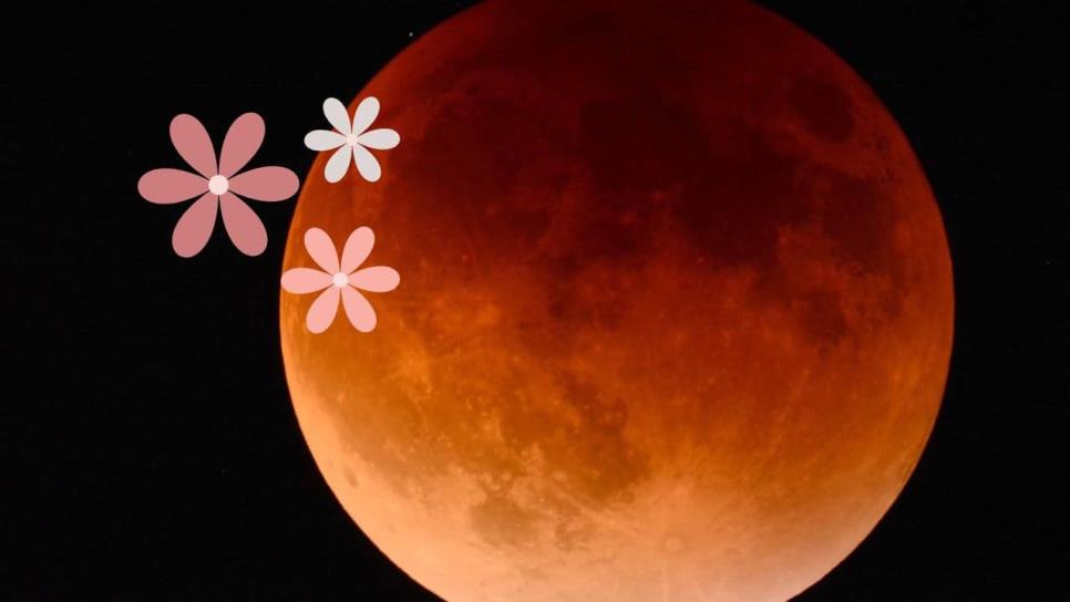 Luna de Flores: Fecha y hora exacta para ver este fenómeno astronómico en mayo 2024