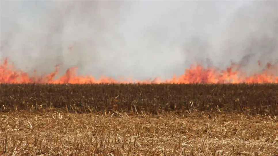 FOTO: Archivo/LuzNoticias.