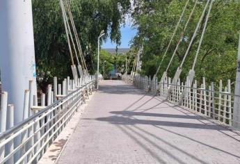 Cierran el puente Bimodal de Forum en Culiacán por ataque de abejas