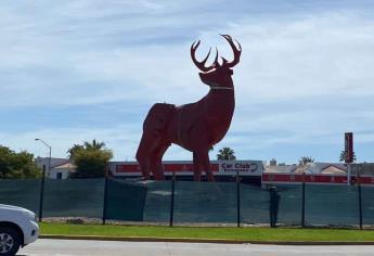 Revelan por qué la escultura del venado de la Carlos Canseco en Mazatlán es rojo 