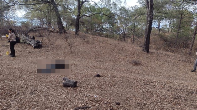 Imagen Placeholder Imagen Placeholder