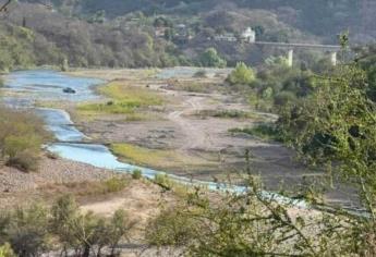 Contaminación en el Río Piaxtla en San Ignacio causa muerte de peces y ganado