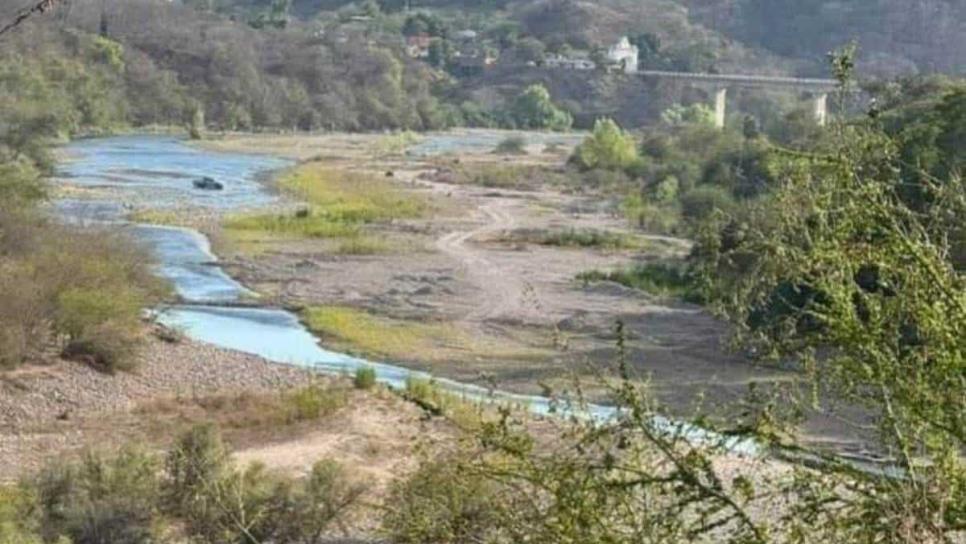 Contaminación en el Río Piaxtla en San Ignacio causa muerte de peces y ganado