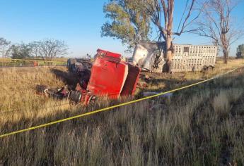 Muere niño que se accidentó con padres en Jacola, en Culiacán