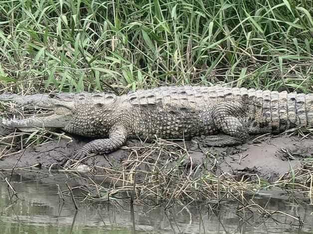 Imagen Placeholder Imagen Placeholder