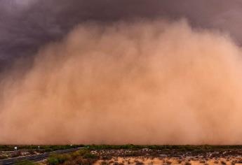 ¿Cuándo llegará el polvo del Sahara a México?