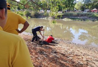 Joven queda atorado en el lodo del río Tamazula tras rescatar a su perro