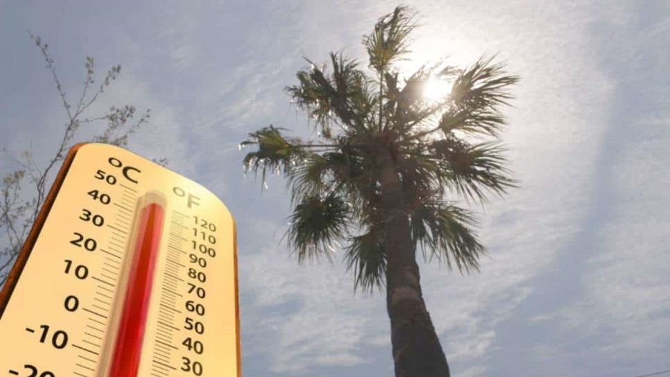 México vivirá el calor más intenso de su historia en los próximos días, advierte la UNAM