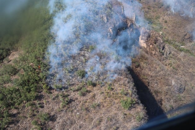 Imagen Placeholder Imagen Placeholder