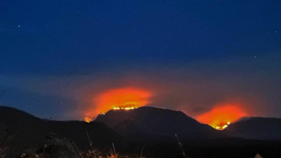 Incendio en sierra de Elota consumió 100 hectáreas del Área Natural Protegida: SEBIDES