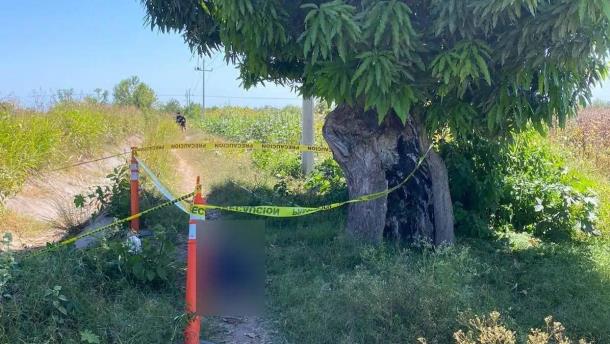 Nota Relacionada de Policiaca