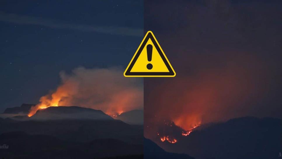 Sierra de Tacuichamona; el Área Natural Protegida que arrasó el incendio forestal en Elota