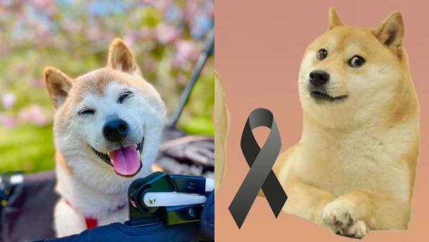 Nota Relacionada de Internacional