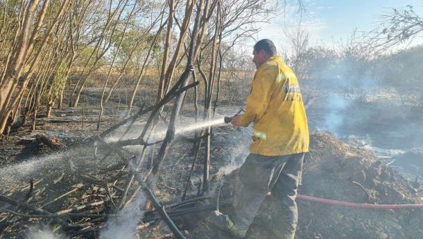 Nota Relacionada de Policiaca