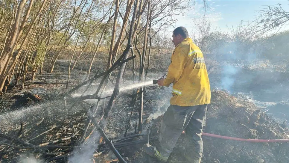 FOTO: Luis Ramírez.