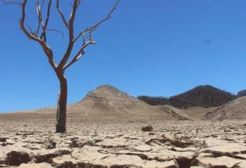 Incrementa crisis por sequía en Sinaloa