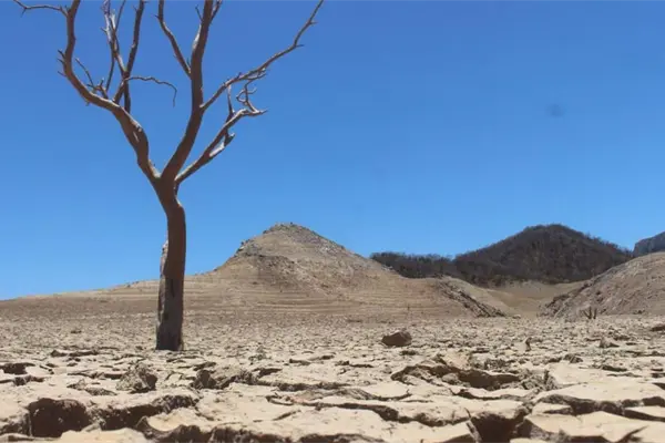 Incrementa crisis por sequía en Sinaloa