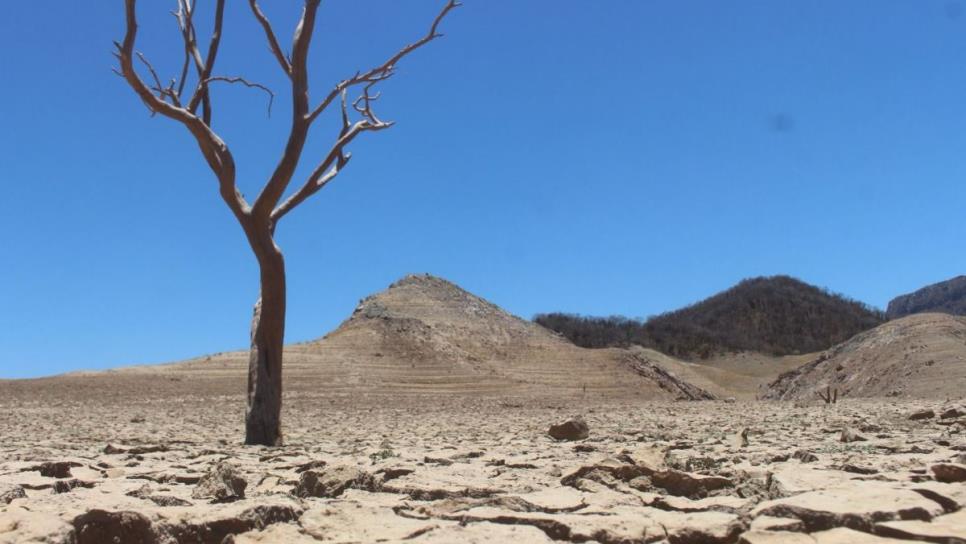 Incrementa crisis por sequía en Sinaloa