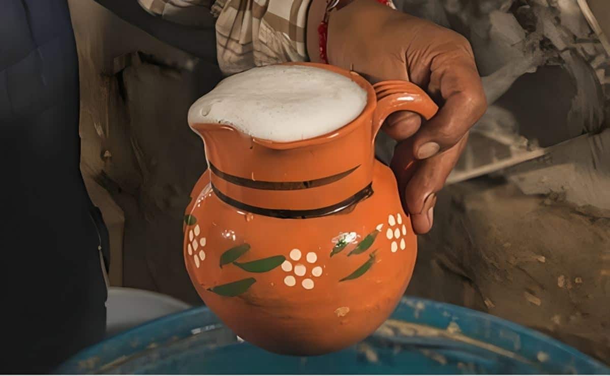 El Pulque, bebida ancestral que ayuda a curar varias enfermedades que no creerías