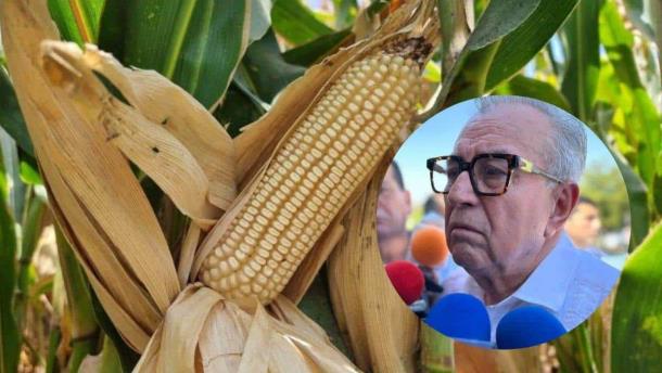 Nota Relacionada de Agro