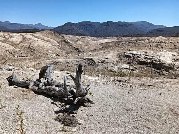 Imagen Placeholder Imagen Placeholder