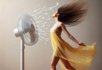 Ola de calor: ¿cómo hacer un ventilador con aire frío?