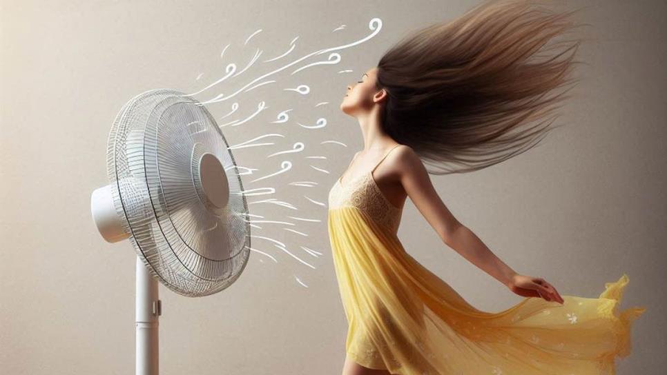 Ola de calor: ¿cómo hacer un ventilador con aire frío?