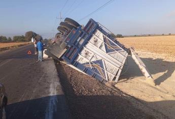 Vuelca torton cargado con 18 toneladas de maíz en Guasave