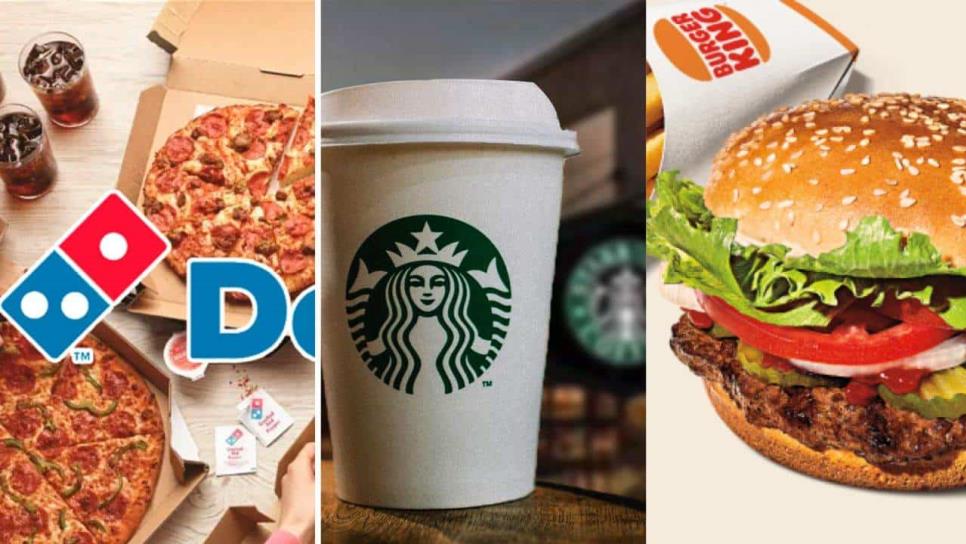 Starbucks, Domino´s Pizza, Burger King: tienen promociones si votas este 2 de junio