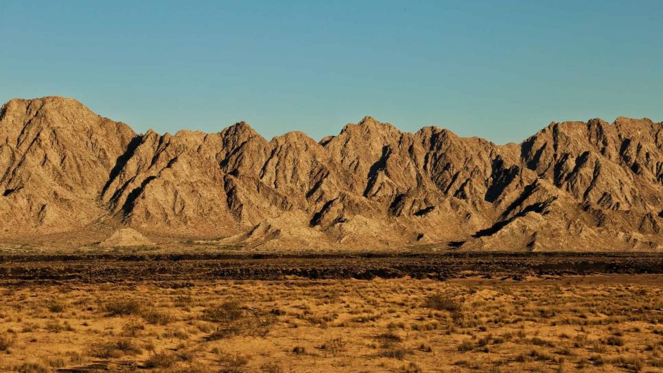 Sonora tiene uno de los desiertos más calientes del mundo; calor de hasta 80°C