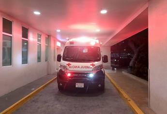 Perro muerde a niña de un año en la cara y la manda al hospital en Culiacán