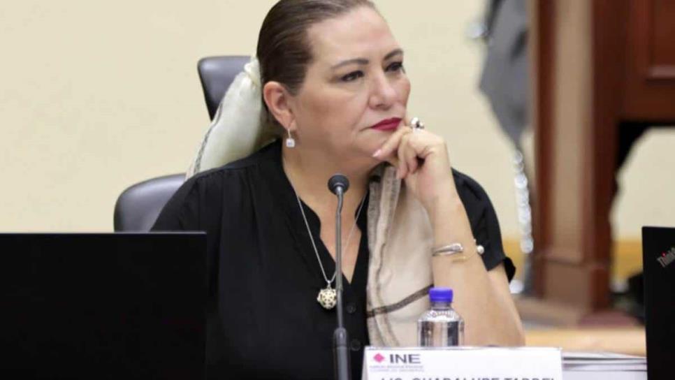 Guadalupe Taddei, presidenta del INE, se salta la fila para votar