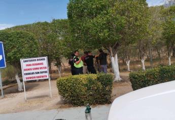 Abejas atacan a personas en caseta de San Miguel y se quedan atrapados en los baños