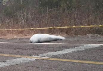 Identifican a la persona localizada emplayada en San Ignacio
