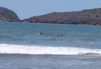 Policía Acuática de Mazatlán salva a turista de Torreón, Coahuila, de morir ahogado