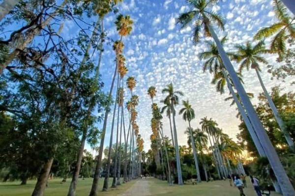 Clima en Los Mochis este sábado, 8 de junio