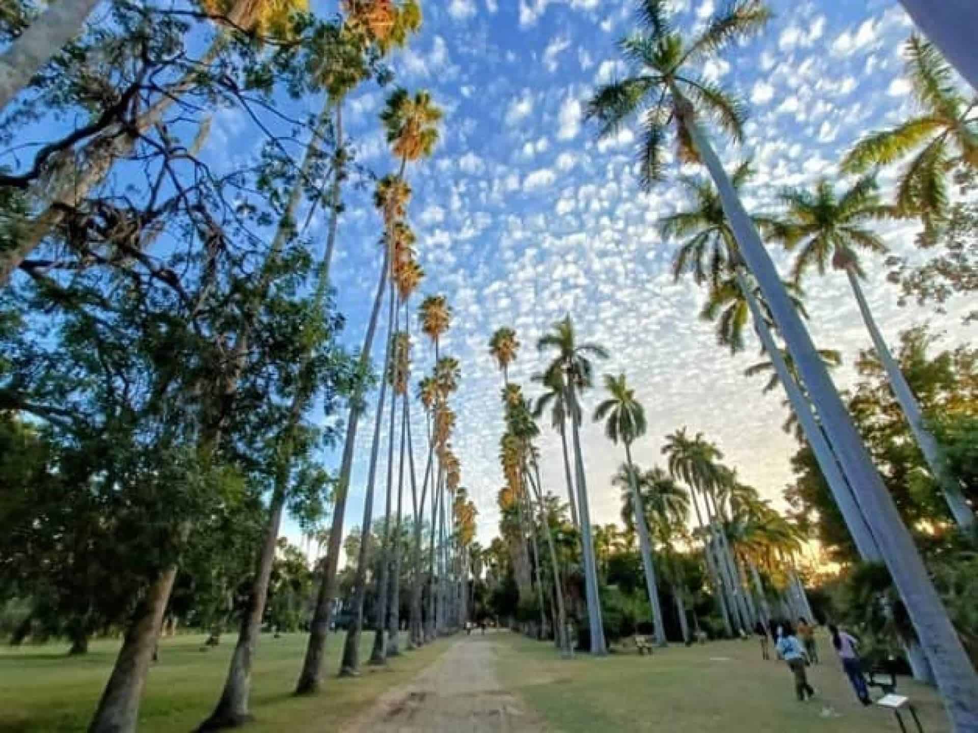 FOTO: Clima en Los Mochis.