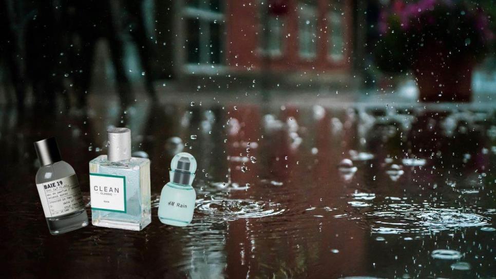 Perfumes que «huelen a lluvia» ideales para este tiempo de calor