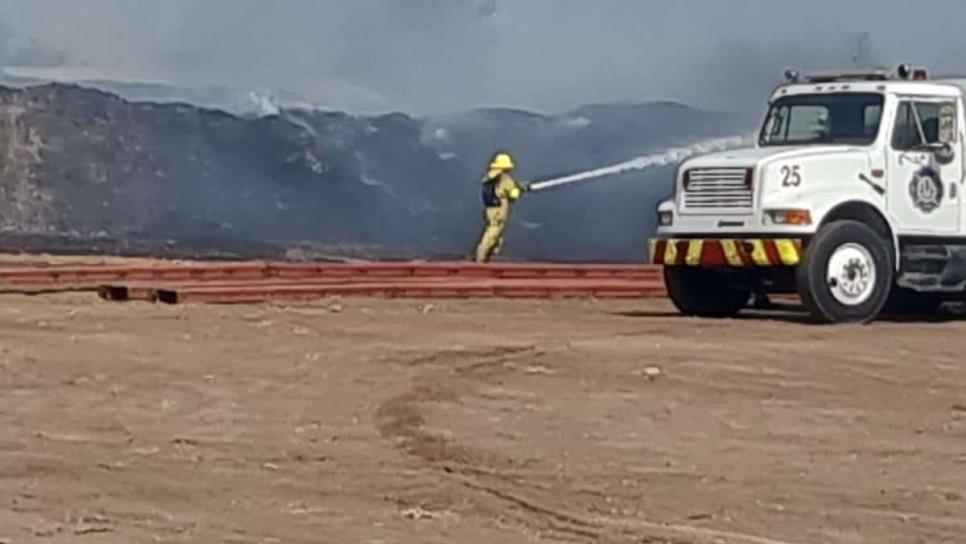 Más de mil pacas de alimento para ganado quedaron destruidos por el fuego