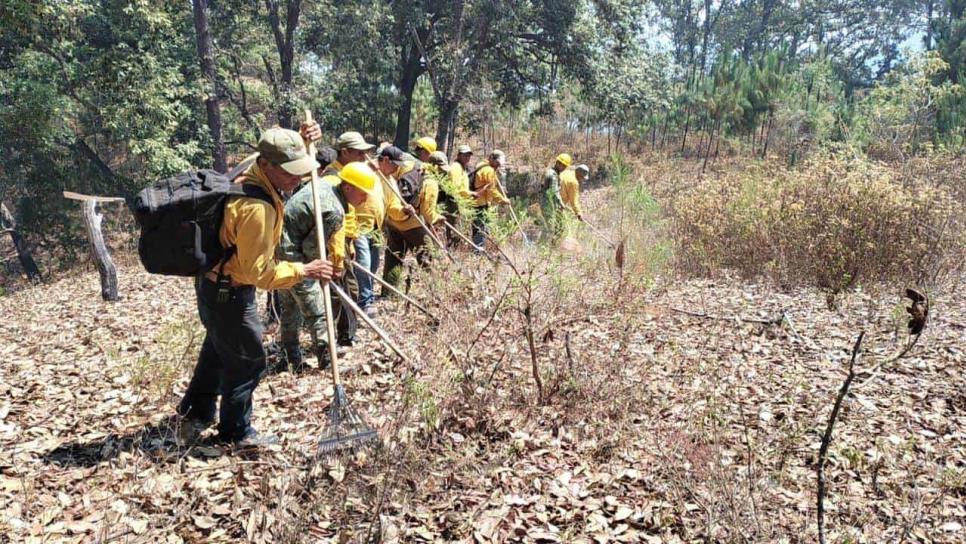 Ejército aplica Plan DN-III-E para sofocar incendios forestales en Sinaloa