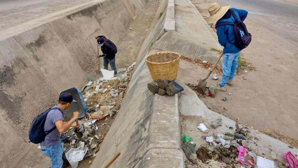Avanza limpieza de 80 kms de canales pluviales de Mazatlán