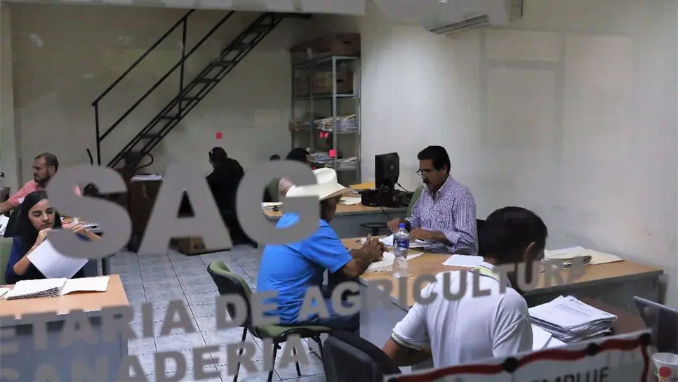 Ya hay fecha para el pago de $750 por tonelada a productores de maíz: ¿dónde y cómo cobrar?