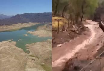 ¿Se acabó la sequía? Renacen los arroyos en la sierra de Choix tras recientes lluvias | VIDEO