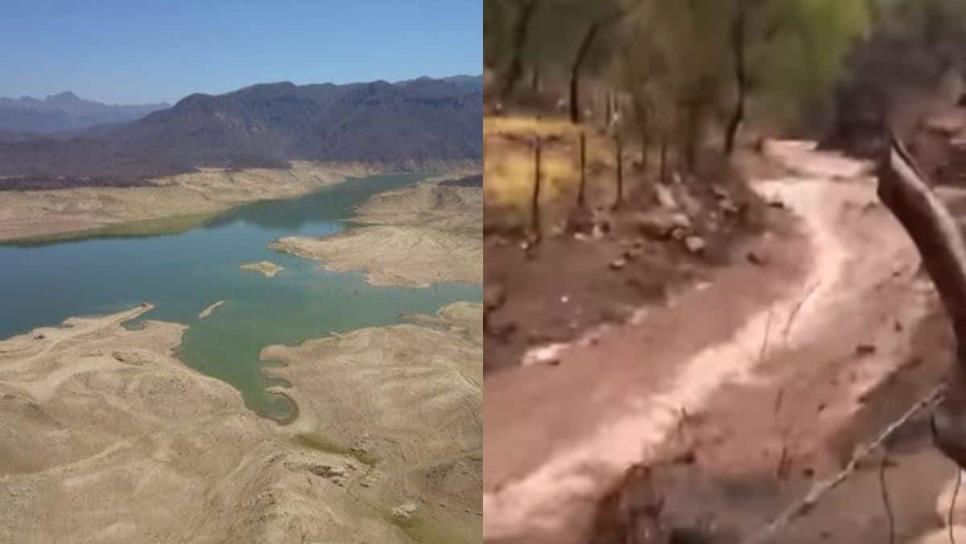 ¿Se acabó la sequía? Renacen los arroyos en la sierra de Choix tras recientes lluvias | VIDEO
