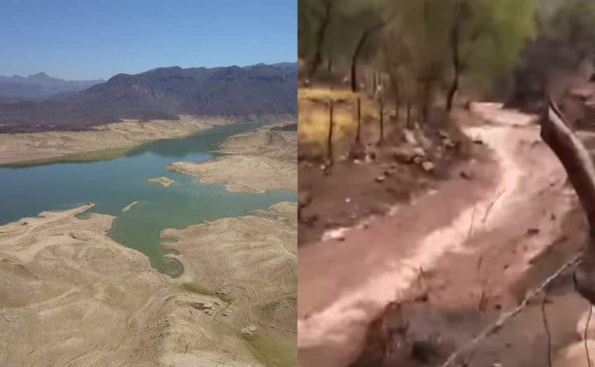 ¿Se acabó la sequía? Renacen los arroyos en la sierra de Choix tras recientes lluvias | VIDEO